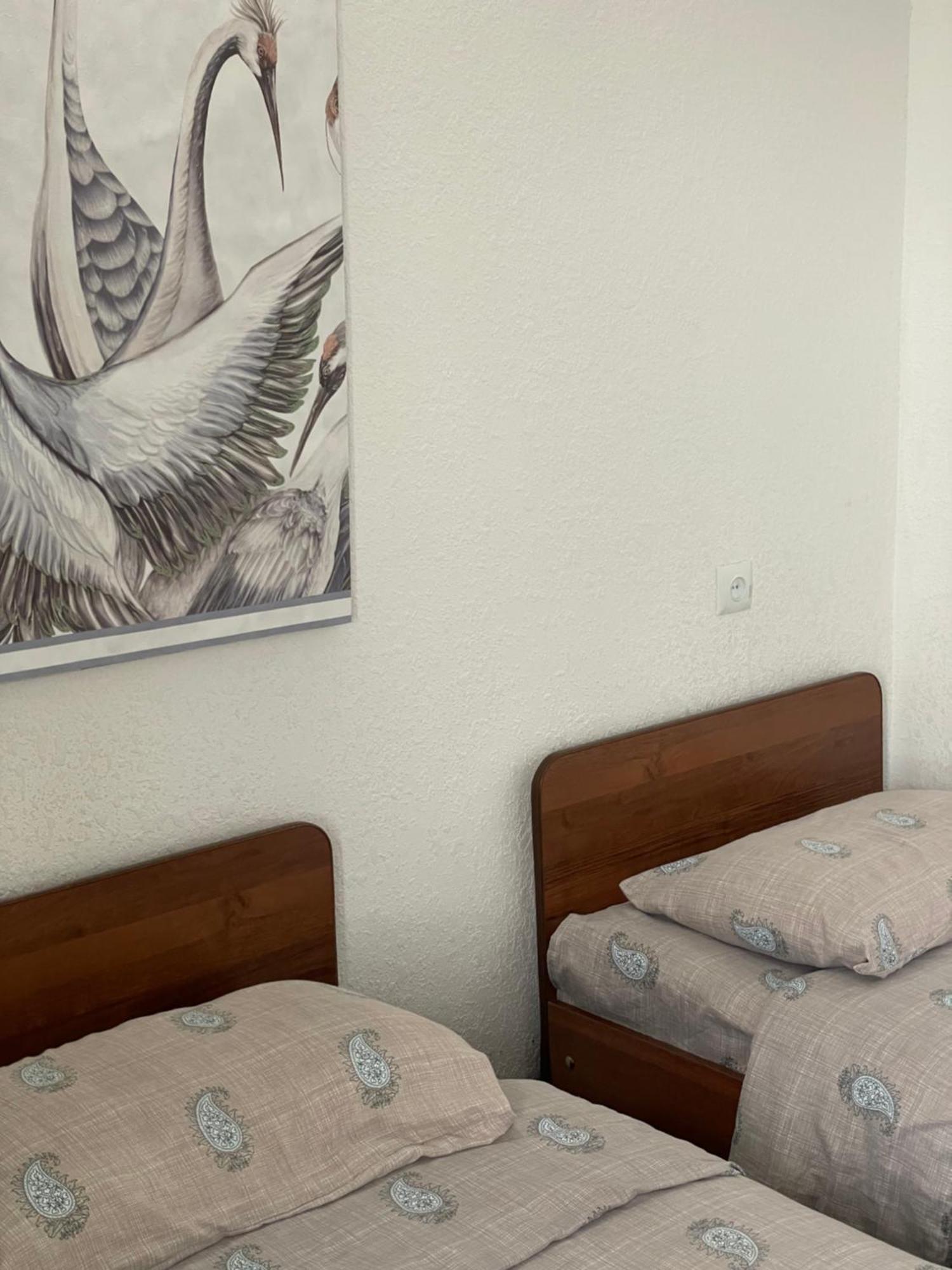 Hotel Wings Art à Cholpon-Ata Extérieur photo
